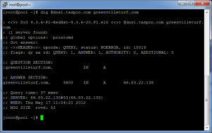 DNS records using DIG DNS records using DIG