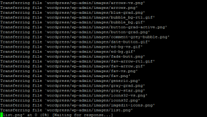 lftpfiles lftpfiles