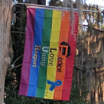 Pulse Orlando Remembrance PLUR Flag