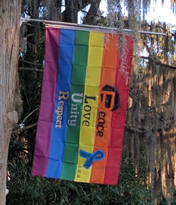 Pulse Orlando Remembrance PLUR Flag