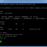 DNS records using DIG